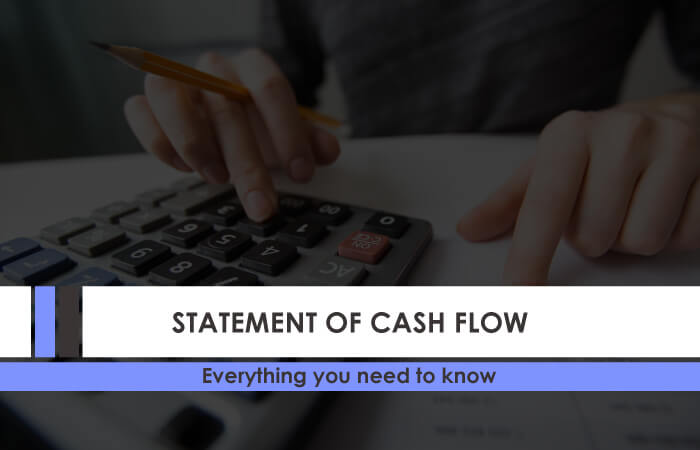  Statement Of Cash Flow: Everything You Need To Know