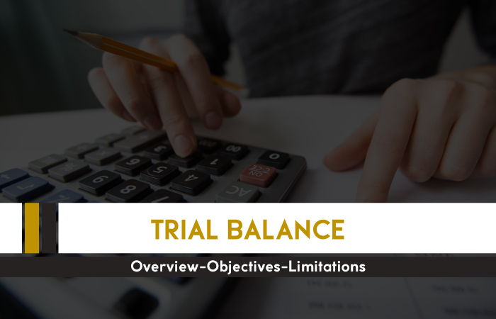  Trial Balance in Accounting: Overview, objectives, & limitations