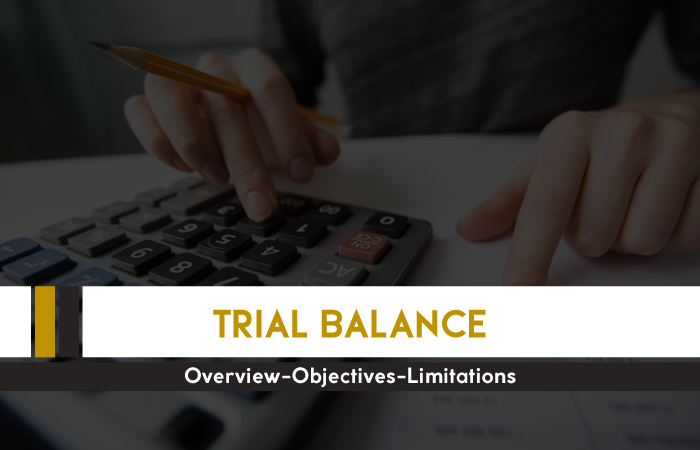 trial-balance-in-accounting-overview-objectives-limitations